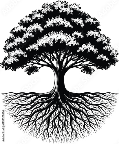 Tree of life vector illustration black and white roots and branches eps silhouette