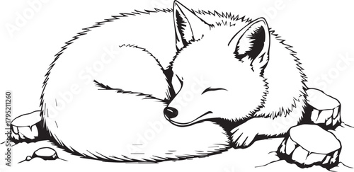 Papier peint A peaceful illustration of a sleeping fox, curled up in a serene pose, embodying tranquility and contentment