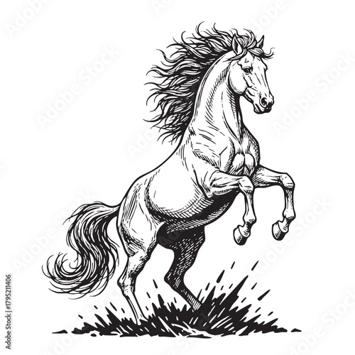 Powerful horse rearing up with flowing mane and tail