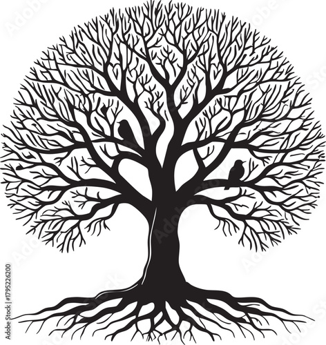 Black and white tree vector illustration with birds - tree of life graphic eps silhouette