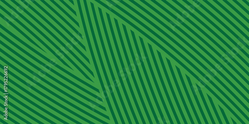 farm green banner, organic abstract background with fields. vector