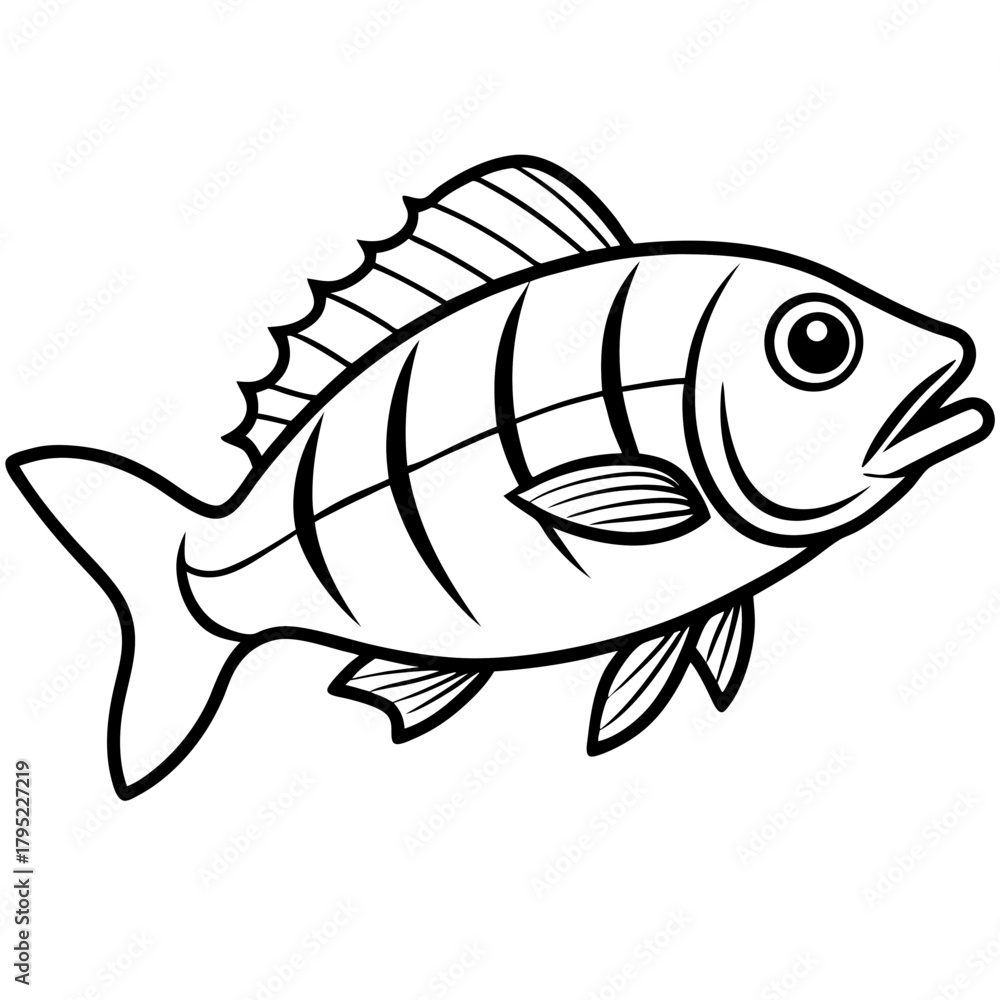 Obraz premium Snapper line art vector
