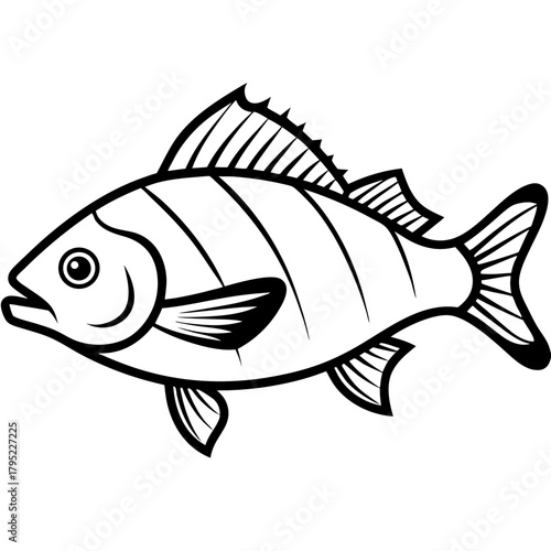 Snapper line art vector