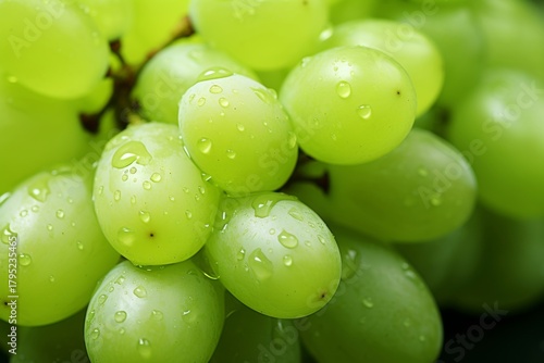  A Refreshing Display of Healthy, Juicy, and Organic Vineyard Fruit Clusters.