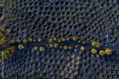 La Geria Wine fields, Lanzarote, Canary Islands, Spain