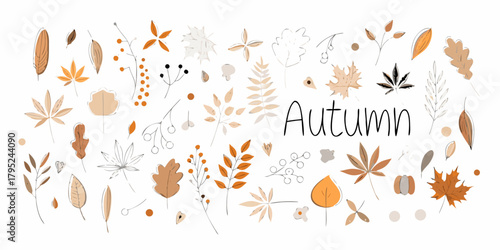 Collection of hand drawn autumn leaves and berries with the word autumn in script font