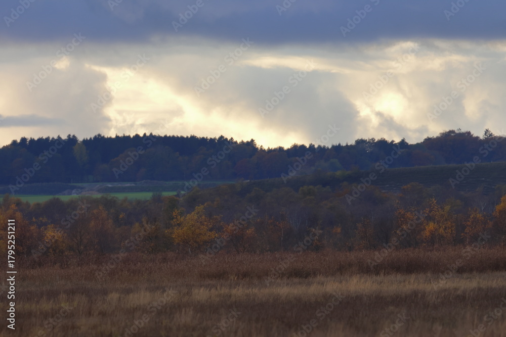 Fototapeta premium denmark