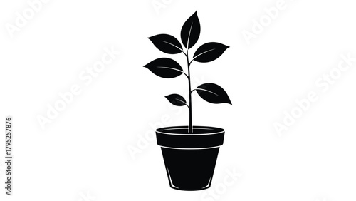 Potted plant silhouette icon isolated on white background, Vector