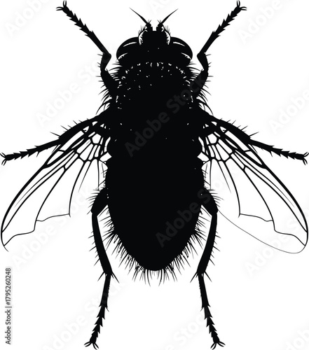 Black fly silhouette vector illustration insect pest control design eps
