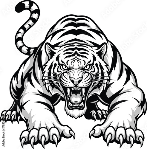 Angry tiger vector illustration aggressive predator animal design art eps silhouette