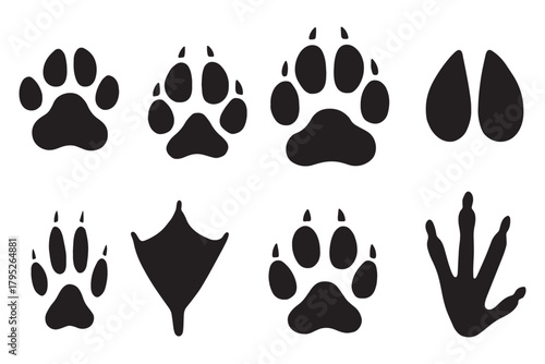 Diverse animal paw prints and tracks collection showcasing canine, feline, avian, and reptilian footprints in clear black silhouette