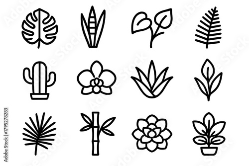 Plant Variety Icons. Plant Variety Icons linear icons: monstera leaf, snake plant, pothos, fern, cactus, orchid, aloe, peace lily, palm, bamboo, succulent, rubber plant.