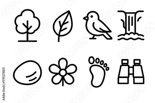 Nature Exploration Icons. Nature Exploration linear icons: tree, leaf, bird, waterfall, river stone, flower, footprint, binoculars.