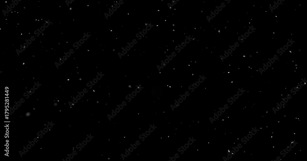 Fototapeta premium Falling snowflakes isolated on black background. Winter snow overlay texture for VFX, compositing, motion graphics and atmospheric effects