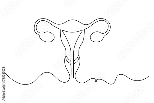 Women's uterus continuous one line drawing of female reproductive outline illustration