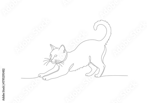 Elegant continuous line drawing of a stretching domestic cat, a minimalist artistic illustration capturing fluid motion and feline grace