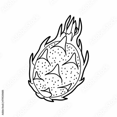 Dragon fruit illustration isolated on white  