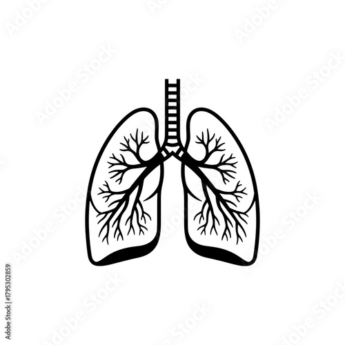 Illustration of human lungs with trachea and bronchial tree in black and white simple vector image