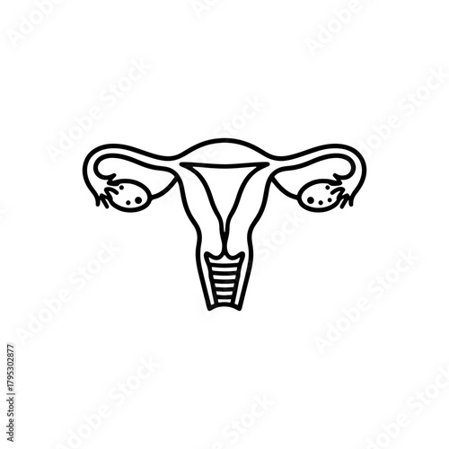 Anatomical line drawing of a uterus with fallopian tubes and ovaries in black and white outline style