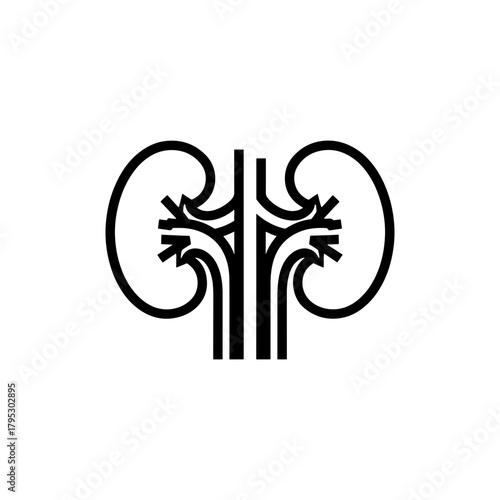 Illustration of a stylized anatomical kidneys structure with veins and arteries in black and white color scheme