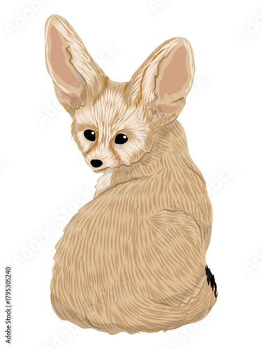 A desert fennec fox sits, looking back. Realistic vector animal.