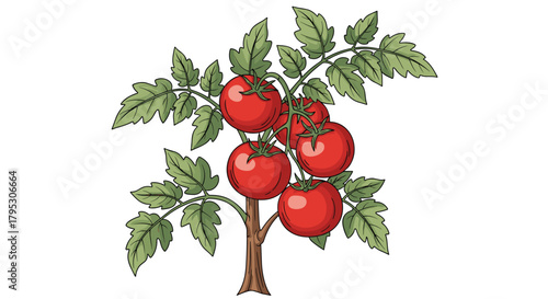 Vibrant ripe tomatoes on the vine bursting with freshness ready for harvest and delicious culinary use, Generative AI