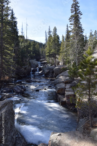 typical pretty stream in forest