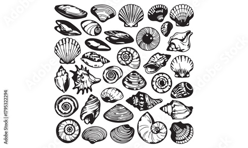 Seashell Vector Illustration Set | Black and White Shell, Starfish, and Clam Icons