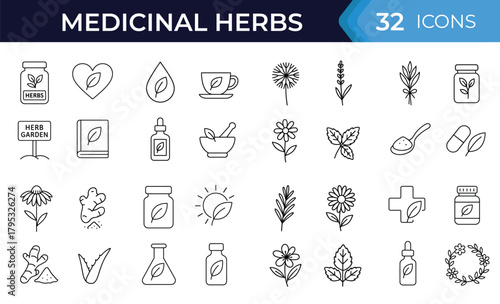 Herbal medicine line icon set. Vector symbols of healing plants, roots, leaves, spices, natural remedy, botanical treatment, thin linear illustration