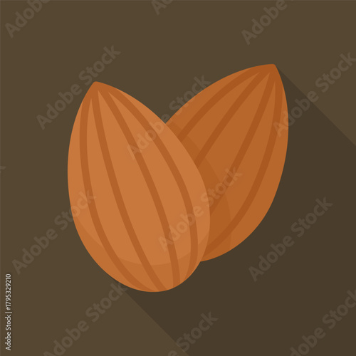 Two brown almond nuts on dark background