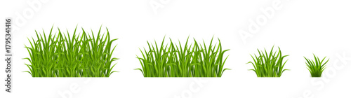 Green grass set, flat vector illustration of nature elements