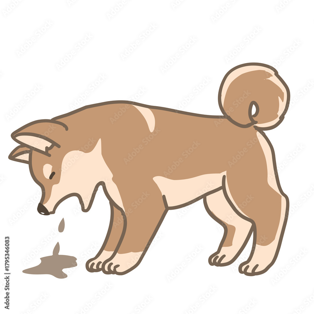 Fototapeta premium 吐き戻しをする柴犬のシンプルイラスト