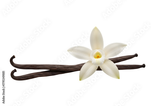 A dried vanilla pod with a flower isolated on a transparent or white background. PNG
