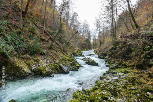 The Radovna River creative  impressive landscapes of Vintgar gorge in Triglav National Park in Slovenia.
