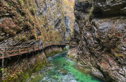 The Radovna River creative  impressive landscapes of Vintgar gorge in Triglav National Park in Slovenia.