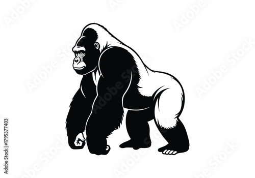Gorilla black and white vector illustration