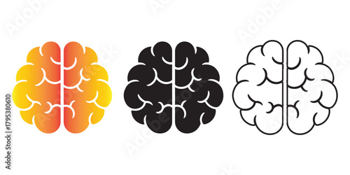 Three distinct brain icons: gradient, solid black, and outline Vector, illustration