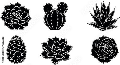 Succulent cactus and aloe plant vector set with black silhouette style for nature design elements and botanical illustration