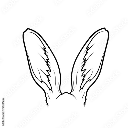 Line drawing of two upright rabbit ears, detailed with internal lines, on a white background, showcasing a common animal feature.