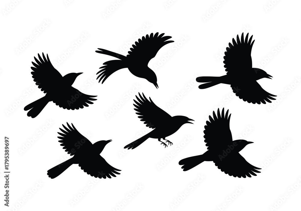 Naklejka premium Bird silhouettes flying