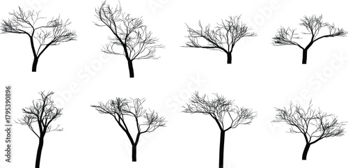 Bare Tree Silhouettes Vector Art Collection on White Background for Artistic Designs