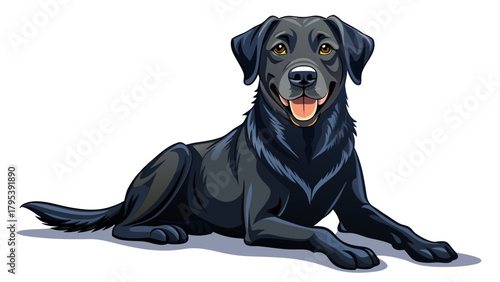 Very beautiful black Labrador retriever sitting and panting on a white background, featuring smooth dark fur, friendly expression, and a clean minimal setting that highlights the dog’s calm and loyal 