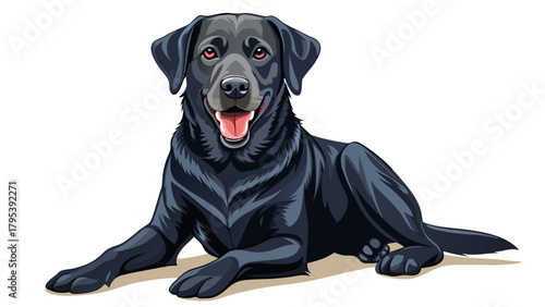 Very beautiful black Labrador retriever sitting and panting on a white background, featuring smooth dark fur, friendly expression, and a clean minimal setting that highlights the dog’s calm and loyal 