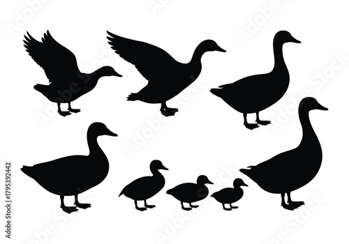 Duck silhouettes collection