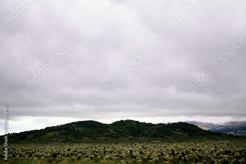 andes