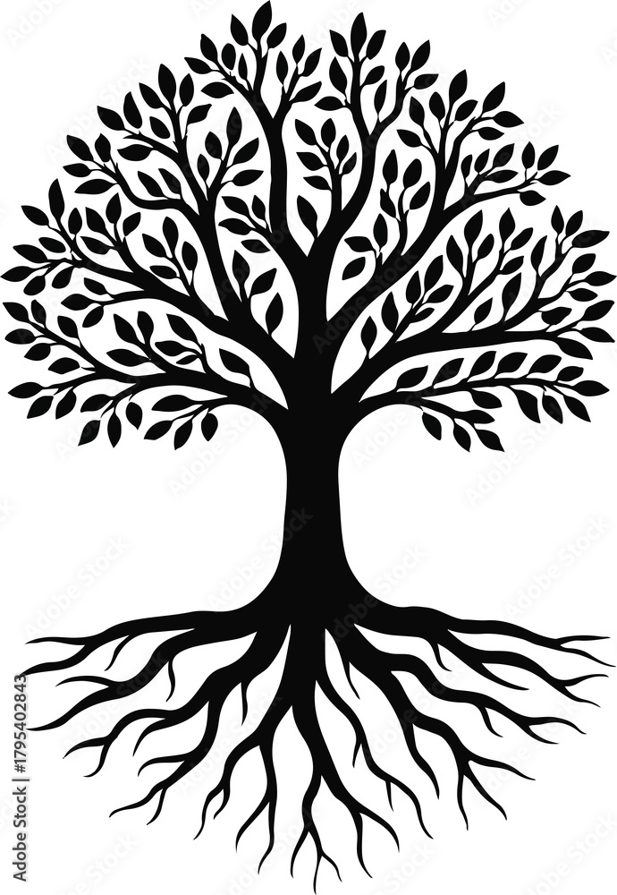 Fototapeta premium Detailed silhouette of a majestic tree with intricate branches and exposed root system