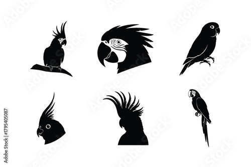 Collection of six black parrot and cockatoo bird silhouettes isolated on a clean white background