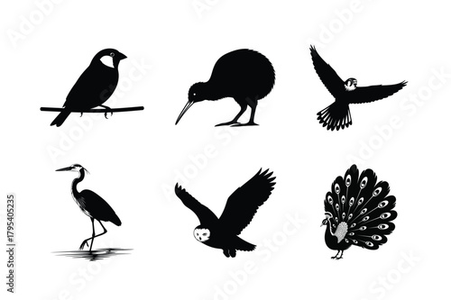 Six black bird silhouettes featuring various species like a sparrow, kiwi, falcon, heron, owl, and peacock