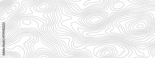 Abstract Topographic Contour Lines Pattern 5.