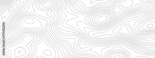 Abstract Topographic Contour Lines Pattern in Grayscale.